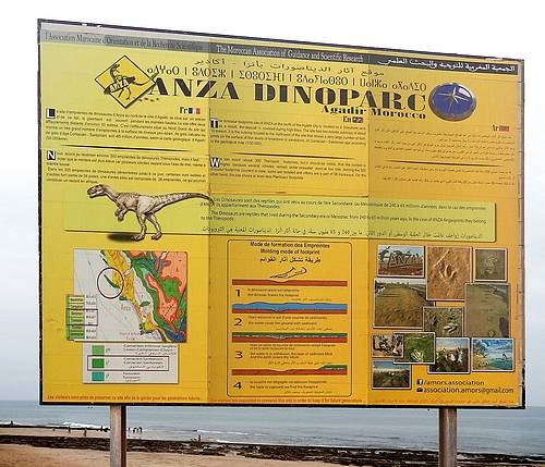 Dino Park Anza